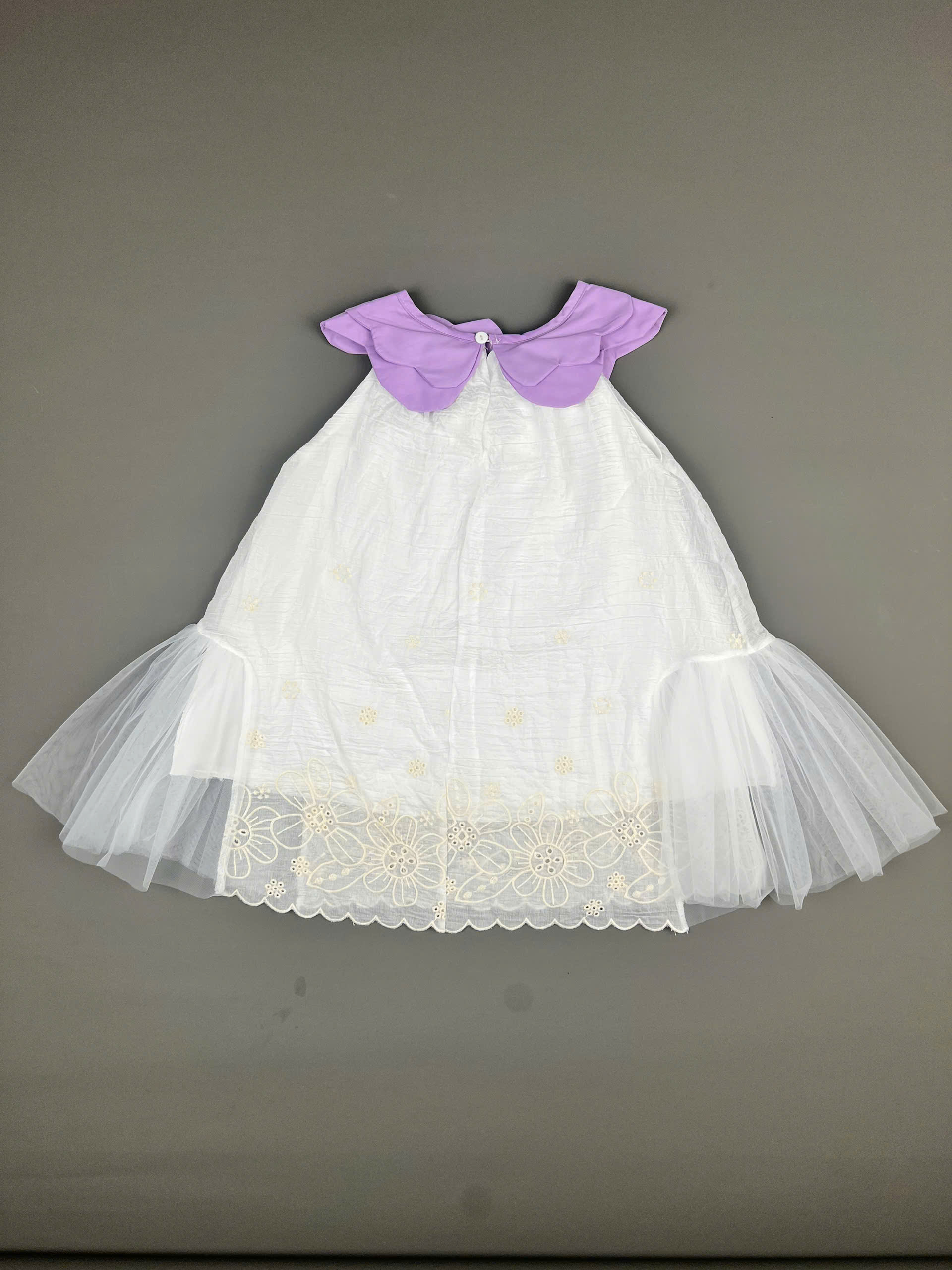 z6691337005083_b734cd4225481cd6bdac01f249759c11